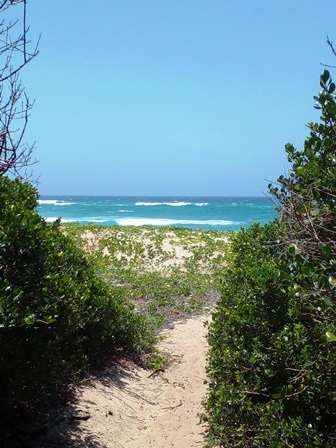 Pathway from camp to Bhanga Nek Beach