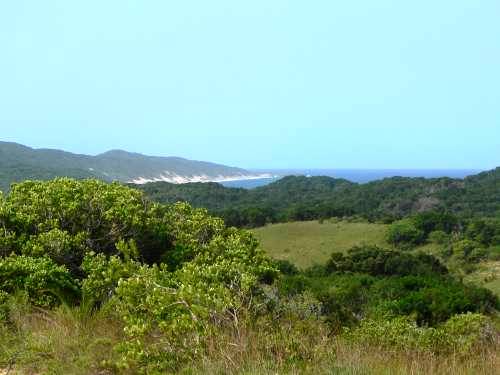 Black Rock - KZN